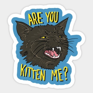 Are You Kitten Me - Black Cat Sticker